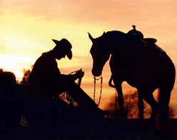 Jody Strand in his Training DVD Unbridled